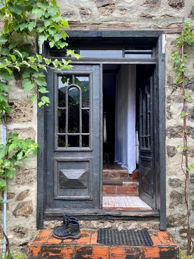 Ciudanovita The Hunter House 빌라 외부 사진