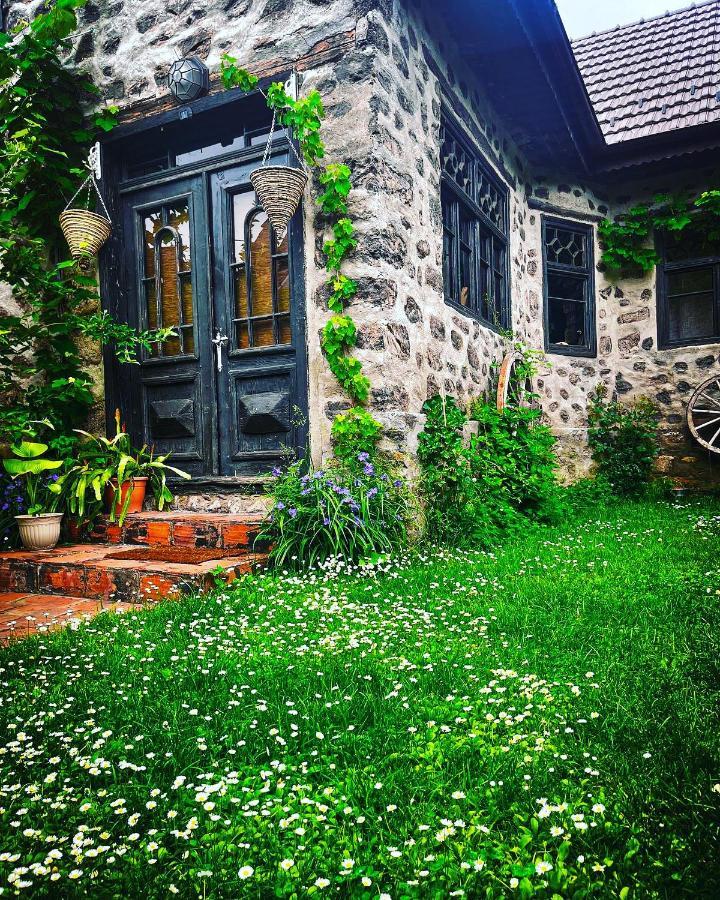 Ciudanovita The Hunter House 빌라 외부 사진